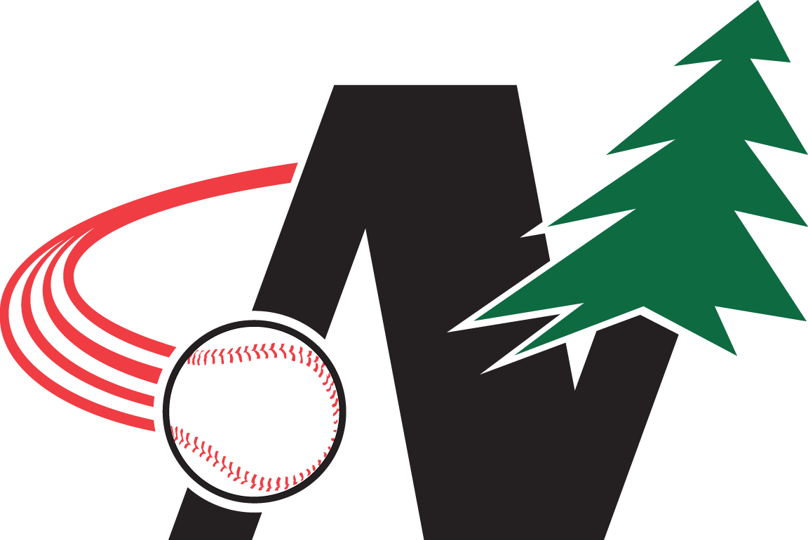 Northwoods League 1994-Pres Alternate Logo v2 iron on heat transfer